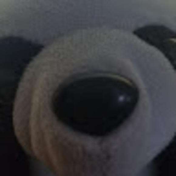 snoodledabest